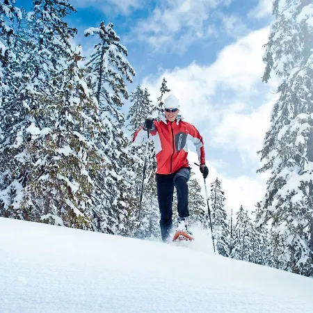In Wald Near Wildkogel Arena Chalé *