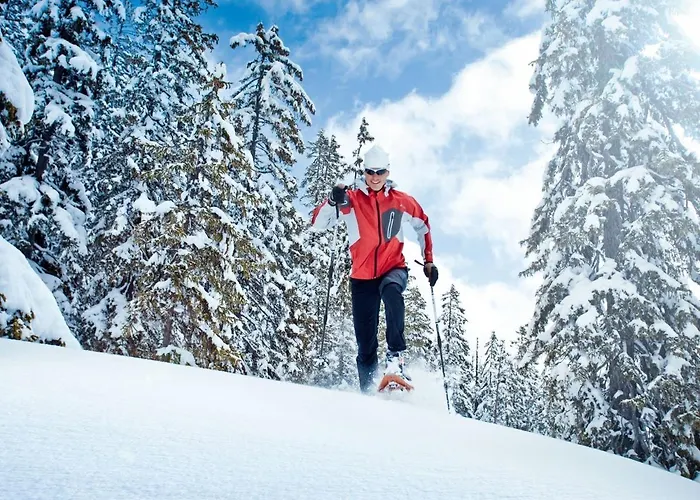 In Wald Near Wildkogel Arena Horská chata *